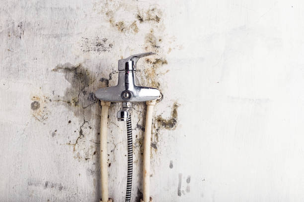 Craigsville, WV Mold Removal Company