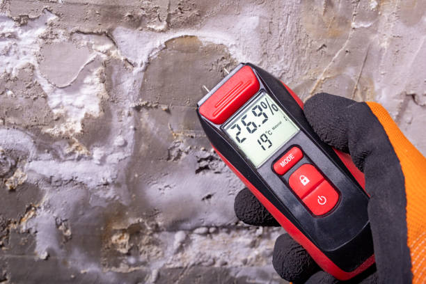 Best Residential Mold Removal  in Craigsville, WV