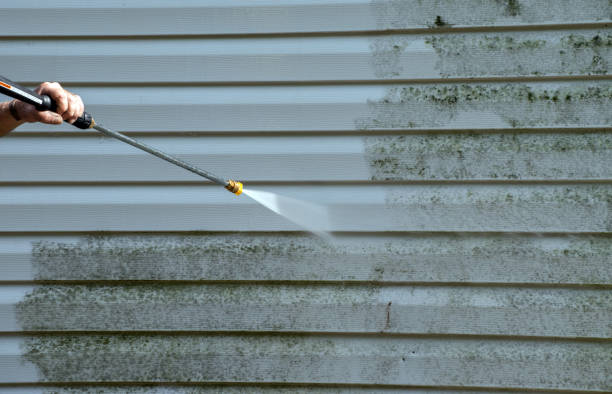 Best Mold Damage Repair  in Craigsville, WV