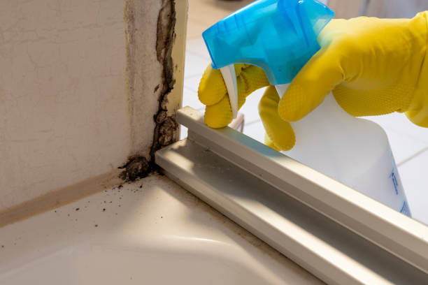 Water Damage Restoration in Craigsville, WV