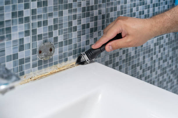 Home Mold Removal in Craigsville, WV