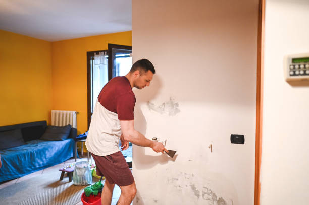 Best Mold Remediation  in Craigsville, WV